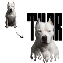 Kit Brutos de Camisetas Personalizáveis com Foto do Seu Cachorro, Estilo Forte, Presença Imponente