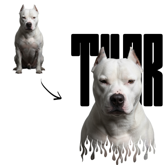 Kit Brutos de Camisetas Personalizáveis com Foto do Seu Cachorro, Estilo Forte, Presença Imponente