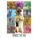 Camiseta Personalizada Pet Foto Coração 100% Algodão Estampa DTF