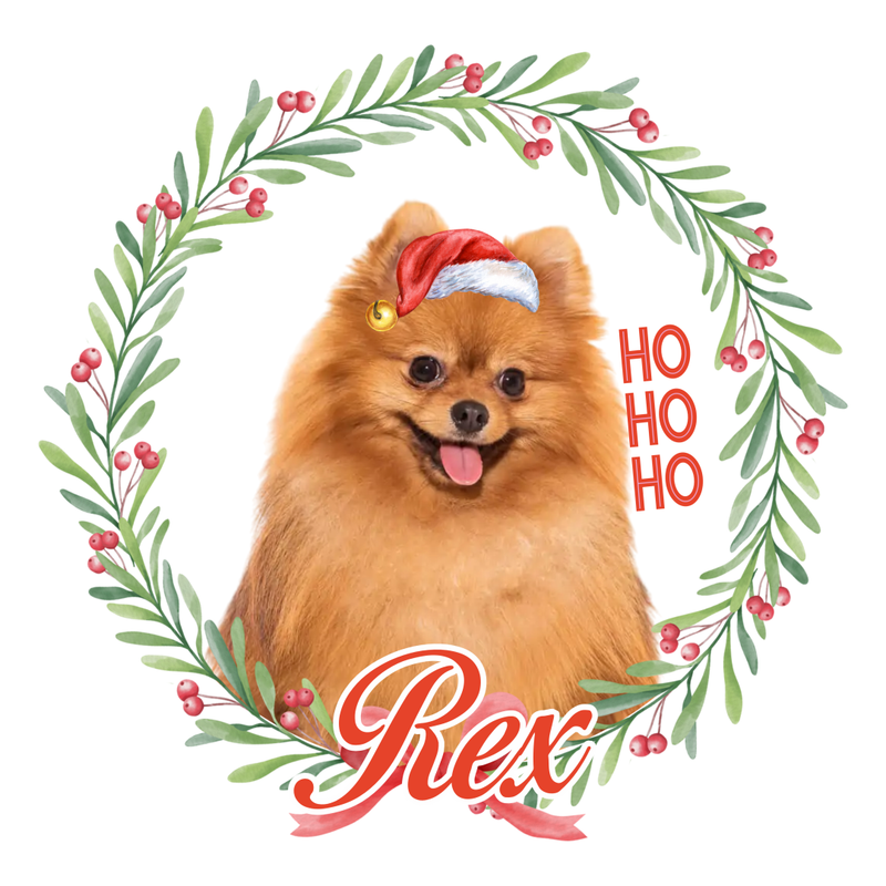 Camiseta Personalizada de Natal com Foto do Pet | 100% Algodão Premium e Estampa DTF | Presente Criativo Natalino