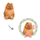 Camiseta Personalizada de Natal com Foto do Pet | 100% Algodão Premium e Estampa DTF | Presente Criativo Natalino