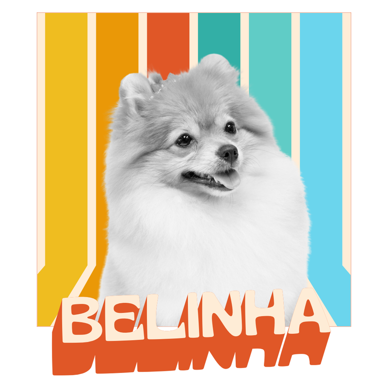 Camiseta Personalizada Pet Vintage Retrô Foto 100% Algodão Estampa DTF