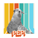 Camiseta Personalizada Pet Vintage Retrô Foto 100% Algodão Estampa DTF