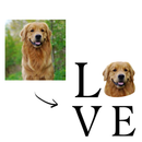 Camiseta Personalizada Pet Cachorro Foto 100% Algodão Estampa DTF