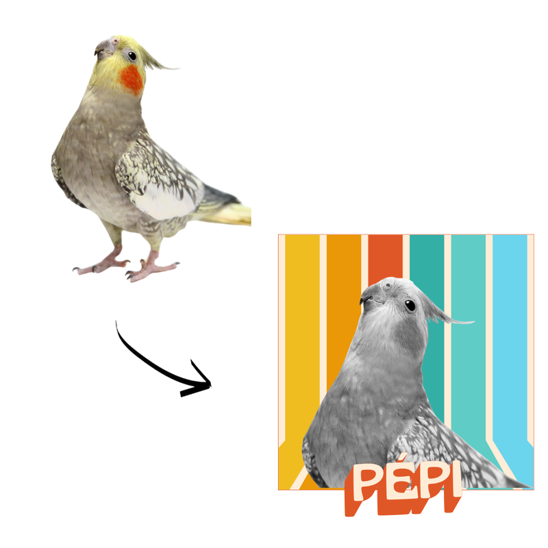 Camiseta Personalizada Pet Vintage Retrô Foto 100% Algodão Estampa DTF