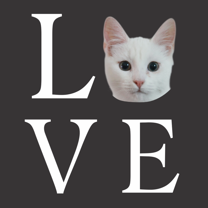 Camiseta Personalizada Pet Cachorro Foto 100% Algodão Estampa DTF