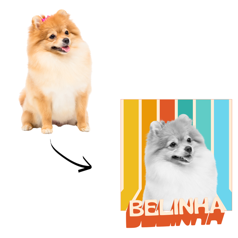 Camiseta Personalizada Pet Vintage Retrô Foto 100% Algodão Estampa DTF