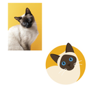 Caneca Personalizável com Seu Pet, Crie Sua Arte com o Seu Animal de Estimação